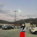 와이케이 목도리, 락피쉬 장갑 구매 후기