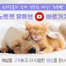 예송동물병원 네이버블로그