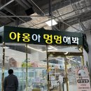 야옹아 멍멍해봐 동탄하나로점 | 2번째 고양이 미용, 동탄 야옹아멍멍해봐 야멍살롱