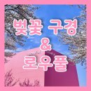 로우풀 | 경남 진주 벚꽃 로드 나들이와 경남 합천 카페 로우풀 후기