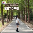 오산 단풍명소 물향기수목원 주차꿀팁 수원 근교 가볼만한 곳