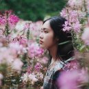 또또찬 네이버블로그