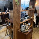 노이알트 이미지