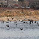 태화축산 이미지