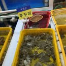 거제고현시장