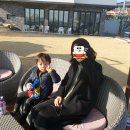보성디자인