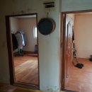 한반도면-5 이미지