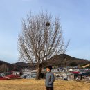서천읍성 | 시간이 멈춘 곳 한산오일장에서 만난 정겨운 풍경과 한산읍성의 고즈넉한 산책