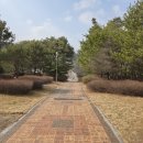 블루스페이스 PC방(시청점) | 갤럭시 S26 울트라 성능, 카메라 후기. KT닷컴 가격 혜택 정리