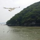 민머루해수욕장 이미지