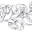 힐링플라워 이미지