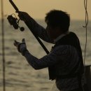 한프로모터스 이미지