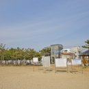 울진어패류 이미지