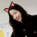 효영 카카오 검색결과