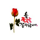 캘리스토리 이미지
