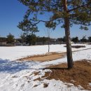 양덕30공원 이미지