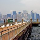 대광상사 이미지