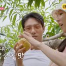 호선농장 이미지