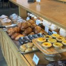 신정 | 신정호수 카페 안낙 솔직후기