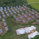 번창 태양광발전소 이미지