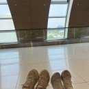 문게야 | [제주 7박 8일_1일차] 6월 여행 첫째 날 후기_알작지해변,문게야, 그린게스트하우스