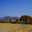 길안초등학교 이미지