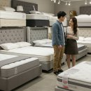큰돌개별화물 | 씰리 침대 가격 총정리 – 직접 구매한 솔직한 후기! 🛏️