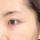 나우올네버 이미지