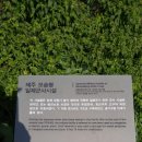 제주 모슬봉 일제군사시설 이미지