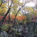 소요산춘하추동 Daum카페