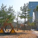펫피아 - 4647 | 펫피아