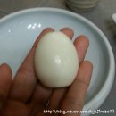 고센농장 | [남양주 와부읍 토종닭] 고센 씨암닭