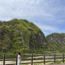 단델리온풀빌라 이미지