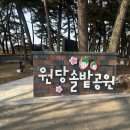 수곡면 딸기조형물 이미지