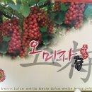 명전계곡 | <명전계곡농원> 문경 오미자즙 후기