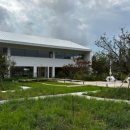 숲속의 빈터 이미지