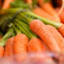 재용농장 이미지