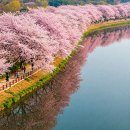 운천저수지 이미지