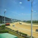 과천 경마공원, 아이와 체험 A to Z (+투어신청 팁)