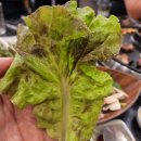 천금식당 이미지