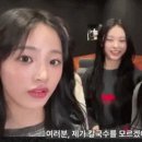 해명칼국수