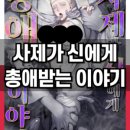 로맨스 다육 이미지