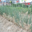 예영유치원 이미지