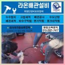 돼장금