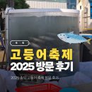 송도동빈내항 공영주차장 | 2025 송도 고등어축제 토요일 방문 후기 (주차, 체험, 먹거리)