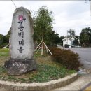 신흥2리(동백마을)농촌체험휴양마을 | 겨울 제주여행 필수코스 신흥2리동백마을과 동백포레스트 알아보기