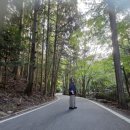 땡스마미 | 대마도 1박2일 여행상품 이용후기