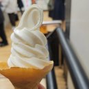 유라쿠초 역 직통 / 도쿄 교통회관 지하 식당가 맛집 도장 깨기 후기(~ing)