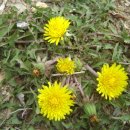 구덕초등학교 이미지