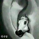 동광로19길 10-3 이미지